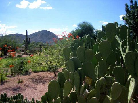 Scottsdale Cottonwoods Resort & Suites Exterior foto